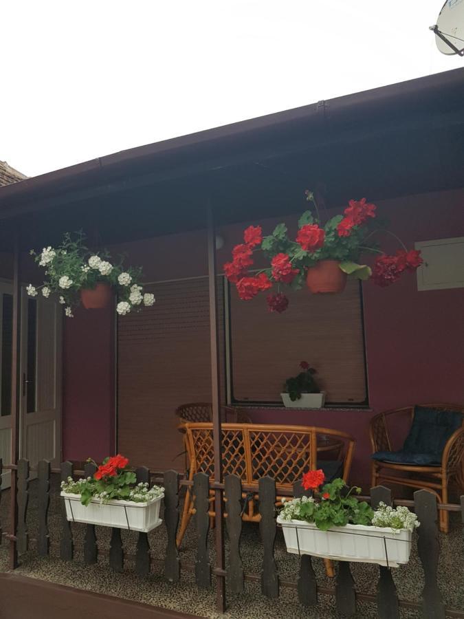 Apartmani, Sobe Ziza Bezdan Zewnętrze zdjęcie