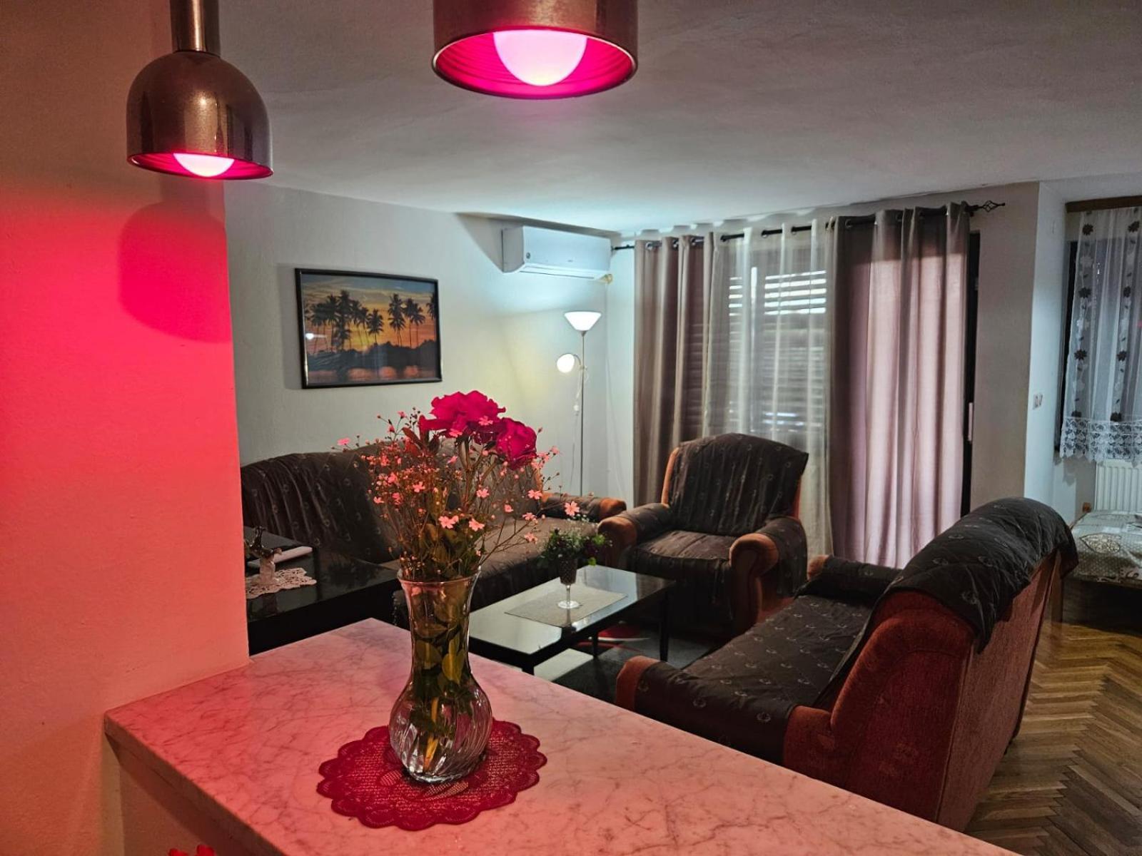 Apartmani, Sobe Ziza Bezdan Zewnętrze zdjęcie