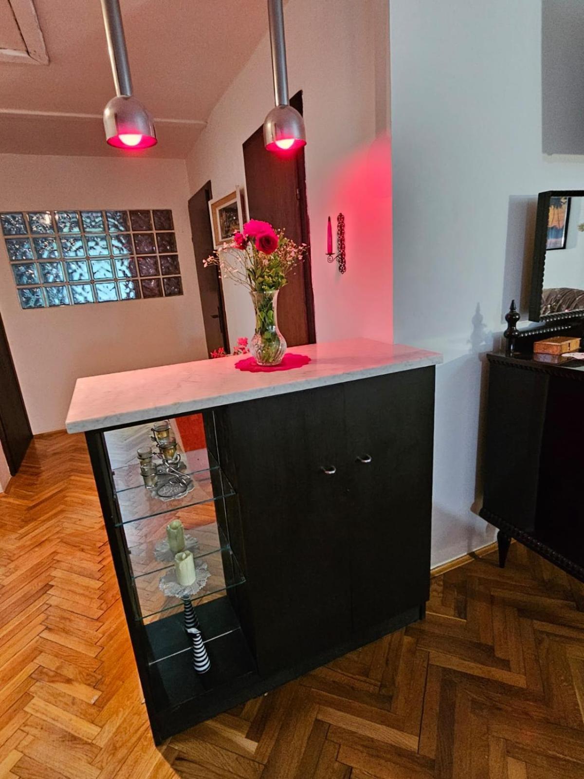Apartmani, Sobe Ziza Bezdan Zewnętrze zdjęcie
